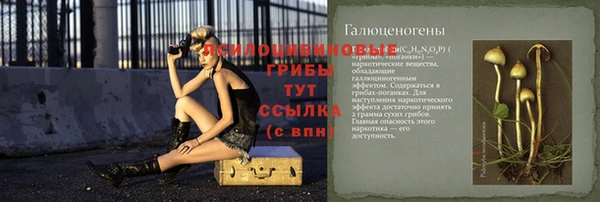 каннабис Баксан